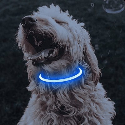 Collier Chien - DogCollarLight™ - Bleu - Bulle de Chien