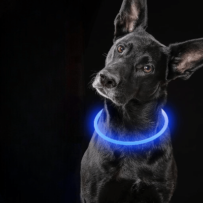 Collier Chien - DogCollarLight™ - Bleu - Bulle de Chien