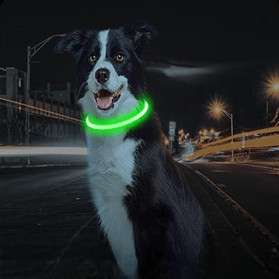 Collier Chien - DogCollarLight™ - Vert - Bulle de Chien