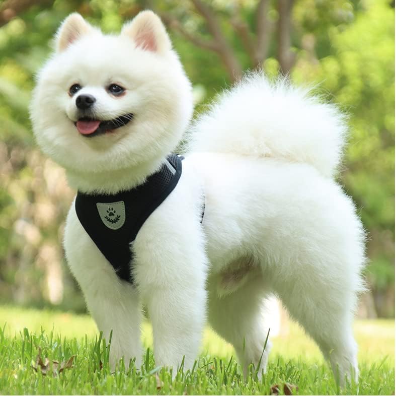 Harnais Petit Chien - DogHarnessLeadLeash™ - Noir - Bulle de Chien
