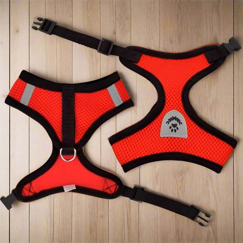 Harnais Petit Chien - DogHarnessLeadLeash™ - Rouge - Bulle de Chien