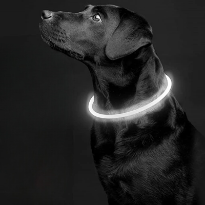 Collier Chien - DogCollarLight™ - Blanc - Bulle de Chien