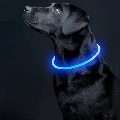Collier Chien - DogCollarLight™ - Bleu - Bulle de Chien