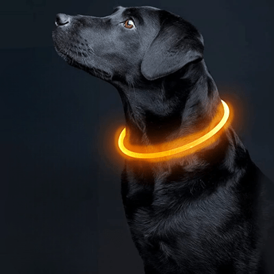 Collier Chien - DogCollarLight™ - Orange - Bulle de Chien