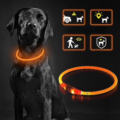 Collier Chien - DogCollarLight™ - Orange - Bulle de Chien