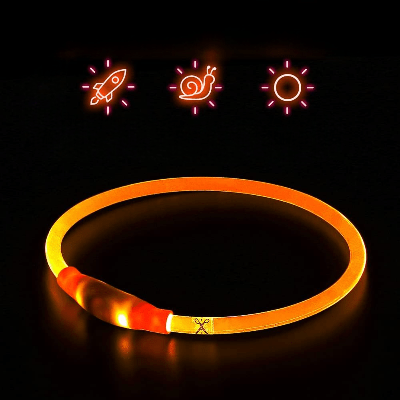 Collier Chien - DogCollarLight™ - Orange - Bulle de Chien