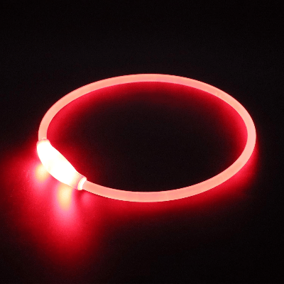Collier Chien - DogCollarLight™ - Rouge - Bulle de Chien