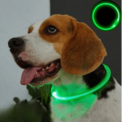 Collier Chien - DogCollarLight™ - Vert - Bulle de Chien