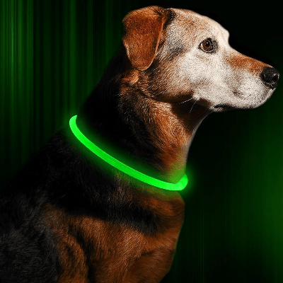 Collier Chien - DogCollarLight™ - Vert - Bulle de Chien