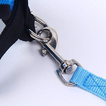 Harnais Petit Chien - DogHarnessLeadLeash™ - Bleu - Bulle de Chien