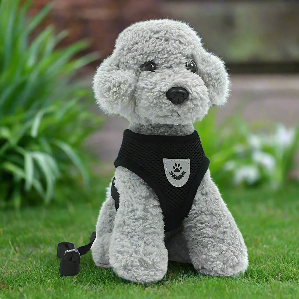Harnais Petit Chien - DogHarnessLeadLeash™ - Noir - Bulle de Chien