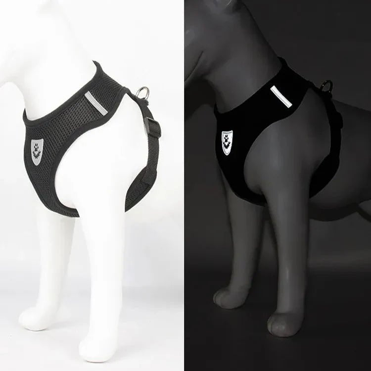 Harnais Petit Chien - DogHarnessLeadLeash™ - Noir - Bulle de Chien