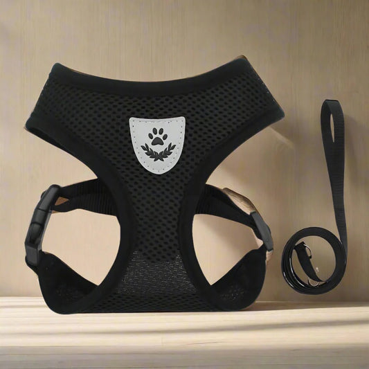 Harnais Petit Chien - DogHarnessLeadLeash™ - Noir - Bulle de Chien