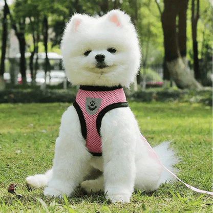 Harnais Petit Chien - DogHarnessLeadLeash™ - Rose - Bulle de Chien
