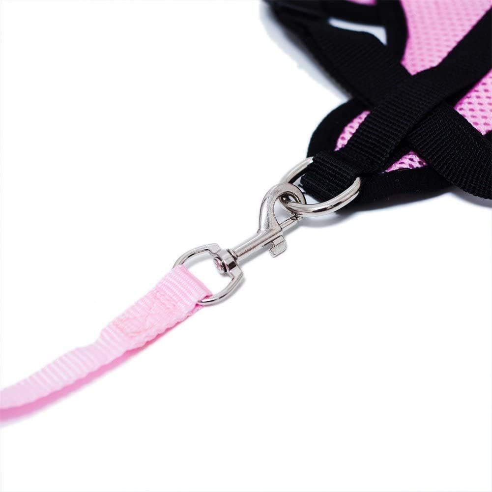 Harnais Petit Chien - DogHarnessLeadLeash™ - Rose - Bulle de Chien