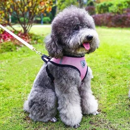 Harnais Petit Chien - DogHarnessLeadLeash™ - Rose - Bulle de Chien