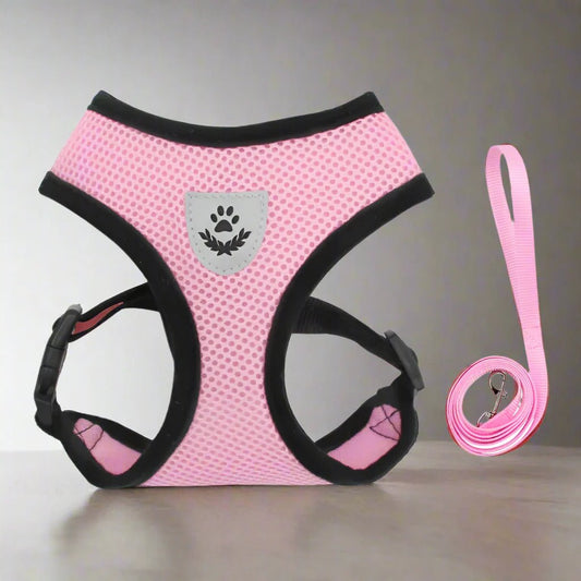Harnais Petit Chien - DogHarnessLeadLeash™ - Rose - Bulle de Chien
