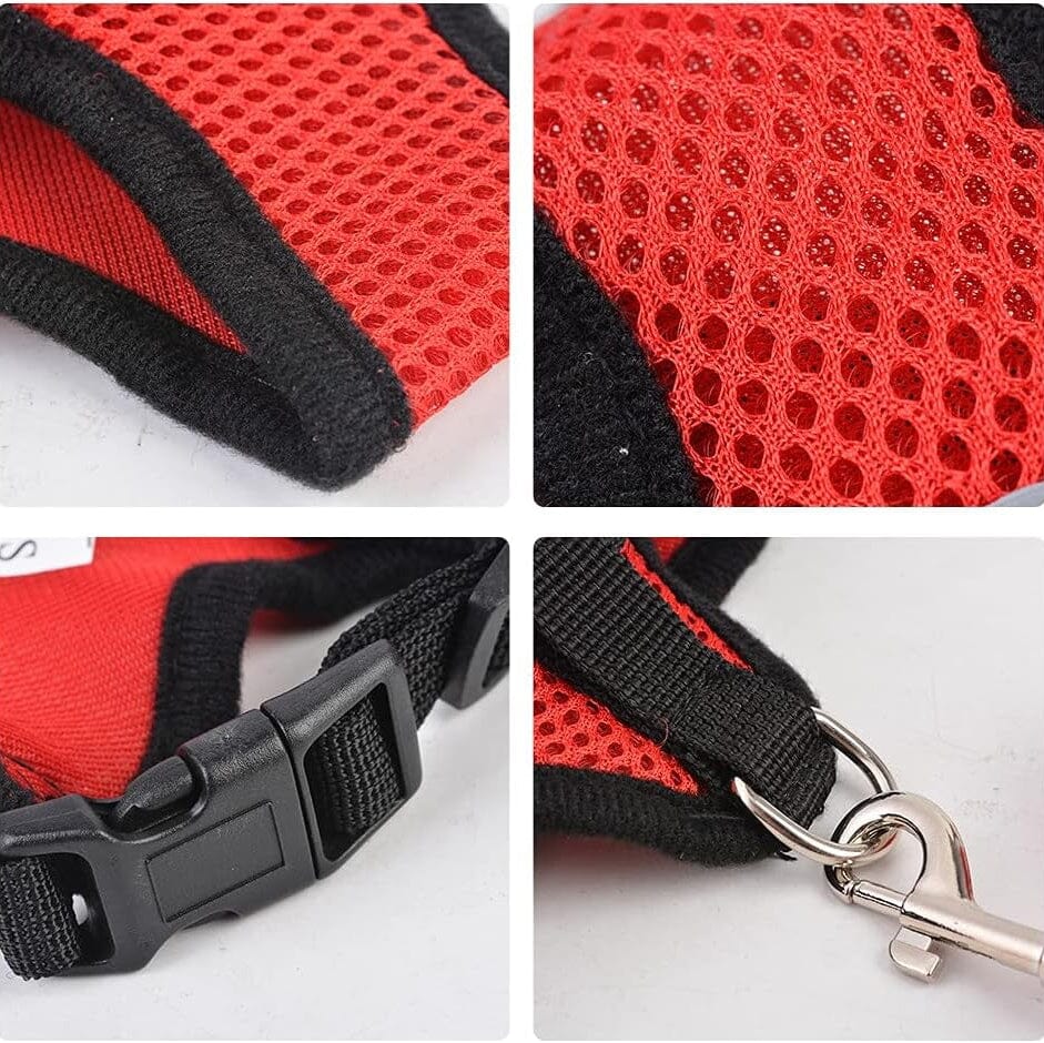 Harnais Petit Chien - DogHarnessLeadLeash™ - Rouge - Bulle de Chien