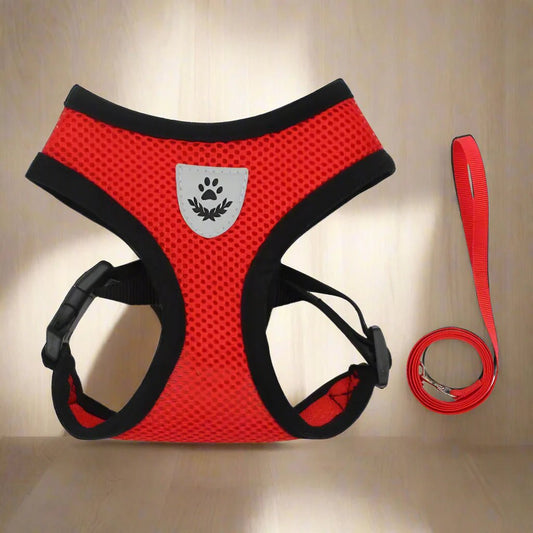 Harnais Petit Chien - DogHarnessLeadLeash™ - Rouge - Bulle de Chien