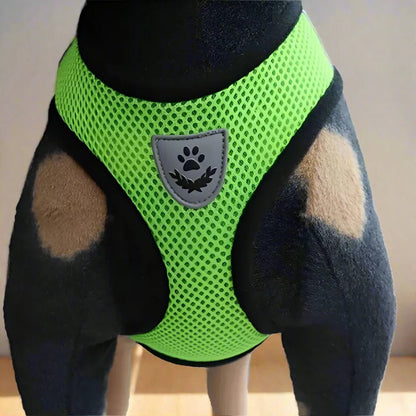 Harnais Petit Chien - DogHarnessLeadLeash™ - Vert - Bulle de Chien