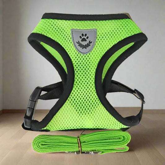 Harnais Petit Chien - DogHarnessLeadLeash™ - Vert - Bulle de Chien