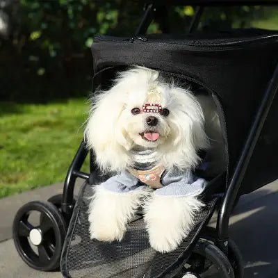 Poussette pour Chien - PetStroller™ - Noir - Bulle de Chien