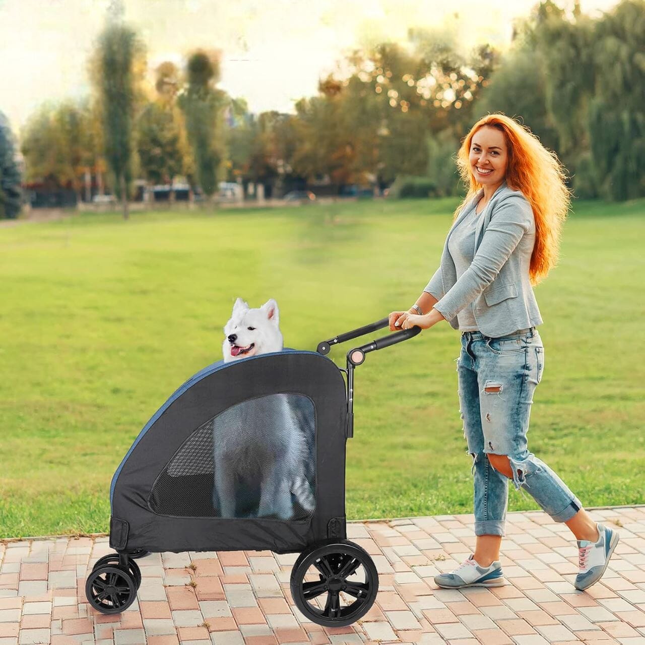 Poussette pour Chien - StrollyPet™ - Bleu - Bulle de Chien