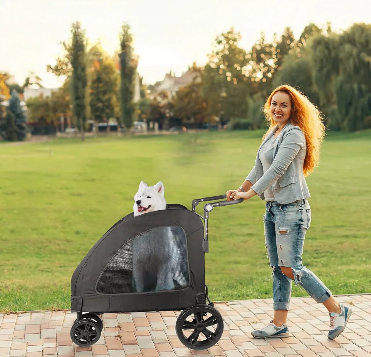 Poussette pour Chien - StrollyPet™ - Noir - Bulle de Chien